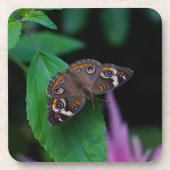 Gepunkteter Schmetterling Untersetzer (Vorderseite)