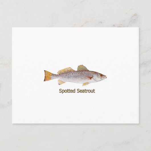 Gepunkteter Seatrout (mit Titel) Postkarte (Vorderseite)