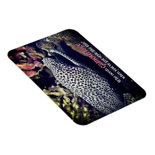 Gepunkteter Seeaal unter Wasser Magnet (Rechte Seite)