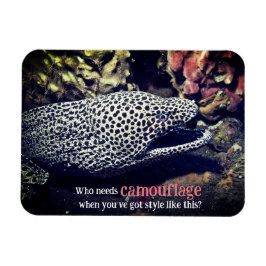 Gepunkteter Seeaal unter Wasser Magnet