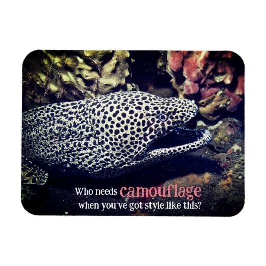 Gepunkteter Seeaal unter Wasser Magnet (Horizontal)