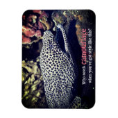 Gepunkteter Seeaal unter Wasser Magnet (Vertikal)