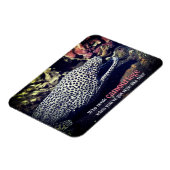 Gepunkteter Seeaal unter Wasser Magnet (Linke Seite)