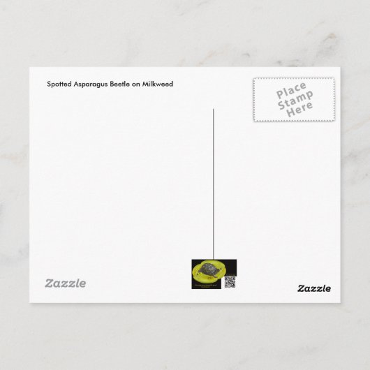 Gepunkteter Spargelkäfer auf der Milkweed Postkart Postkarte (Rückseite)