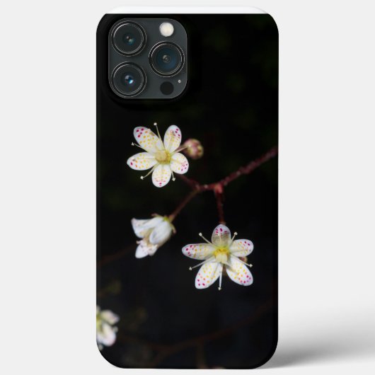 Gepunkteter Steinbrech für Handys Case-Mate iPhone Hülle (Rückseite)