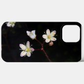 Gepunkteter Steinbrech für Handys Case-Mate iPhone Hülle (Rückseite (Horizontal))