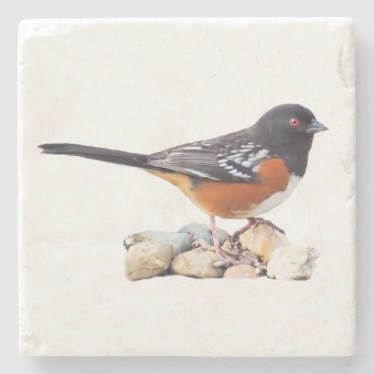 GEPUNKTETER TOWHEE STEINUNTERSETZER (Vorderseite)