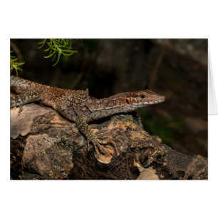 Gepunkteter Tree-Monitor