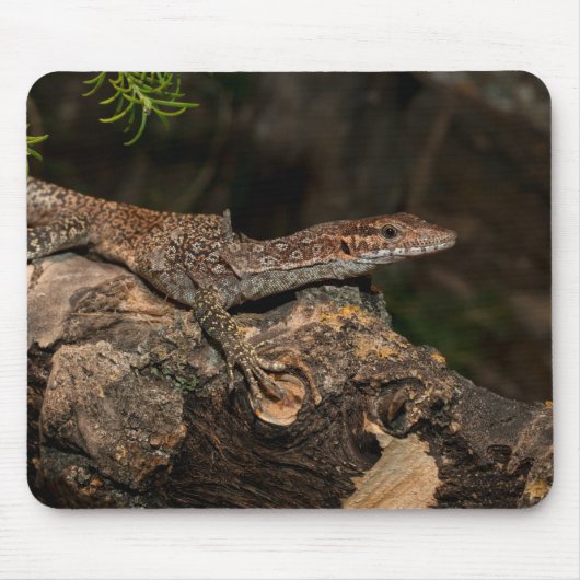 Gepunkteter Tree-Monitor Mousepad (Vorne)