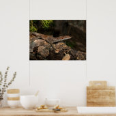 Gepunkteter Tree-Monitor Poster (Küche)