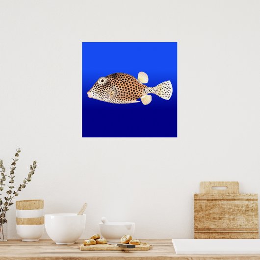 Gepunkteter Trunkfish im blauen Hintergrund Poster (Küche)
