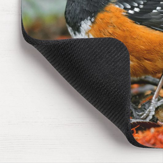 Gepunkteter Zackenbarsch im Herbstleaf Mousepad (Ecke)