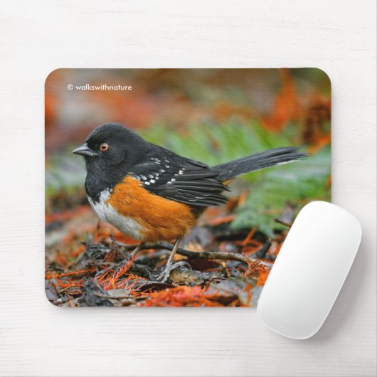Gepunkteter Zackenbarsch im Herbstleaf Mousepad (Mit Mouse)