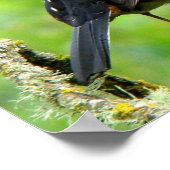 Gepunkteter Zahnraddruck Poster (Ecke)