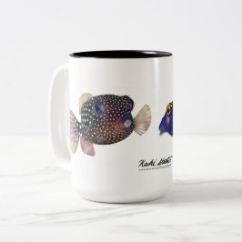 Gepunktetes Boxfischpaar, Ostracion meleagris Zweifarbige Tasse