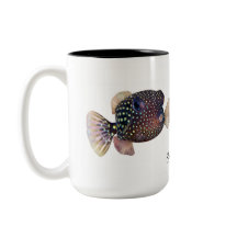 Gepunktetes Boxfischpaar, Ostracion meleagris