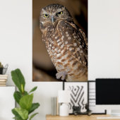 Gepunktetes Ei Poster (Heimbüro)