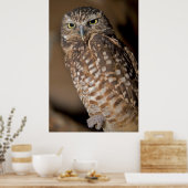 Gepunktetes Ei Poster (Küche)