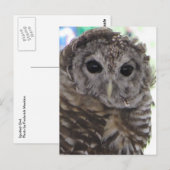 Gepunktetes Ei Postkarte (Vorne/Hinten)
