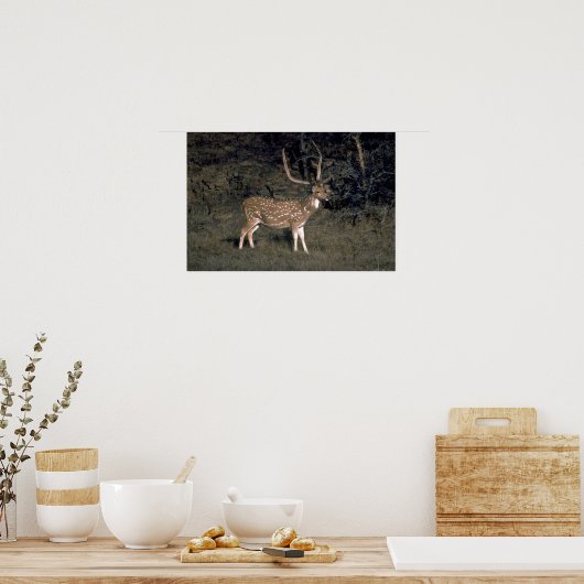 Gepunktetes Hirsch Poster (Küche)