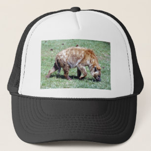 gepunktetes hyena4x6 truckerkappe