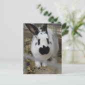 Gepunktetes Kaninchen Postkarte (Stehend Vorderseite)