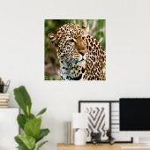 Gepunktetes Leopard-Poster Poster (Heimbüro)