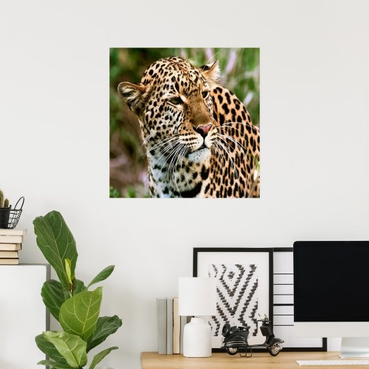 Gepunktetes Leopard-Poster Poster (Heimbüro)