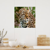 Gepunktetes Leopard-Poster Poster (Küche)