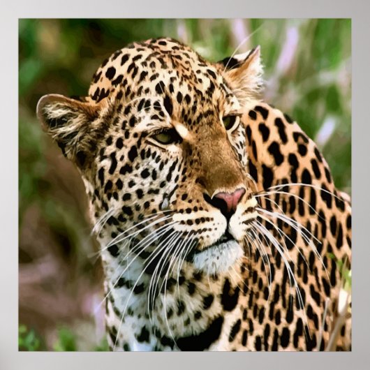 Gepunktetes Leopard-Poster Poster (Vorne)