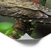 Gepunktetes Ohr Poster (Ecke)