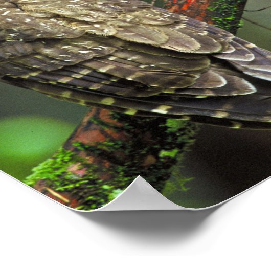 Gepunktetes Ohr Poster (Ecke)