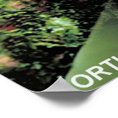 Gepunktetes Ohr Poster (Ecke)