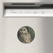 Gepunktetes Owl Magnet (In Situ (Geschirrspüler))