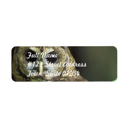 Gepunktetes Owl-Postetikett (Vorne)