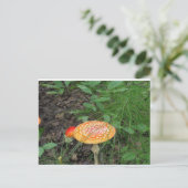Gepunktetes Pilz Postkarte (Stehend Vorderseite)