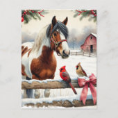 Gepunktetes Pinto Pferd und Kardinal Personalisier Postkarte (Vorderseite)