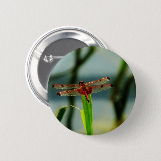 Gepunktetes Rotes und Schwarzes Dragonfly Button (Vorne & Hinten)