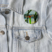 Gepunktetes Rotes und Schwarzes Dragonfly Button (Beispiel)