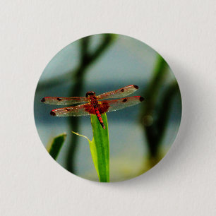 Gepunktetes Rotes und Schwarzes Dragonfly Button
