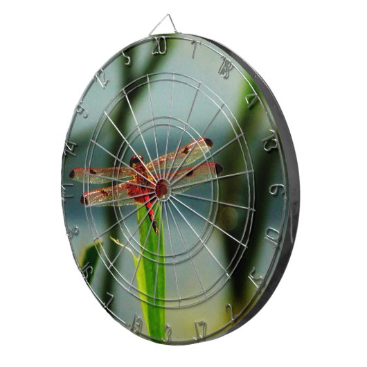 Gepunktetes Rotes und Schwarzes Dragonfly Dartscheibe (Vorderseite rechts)