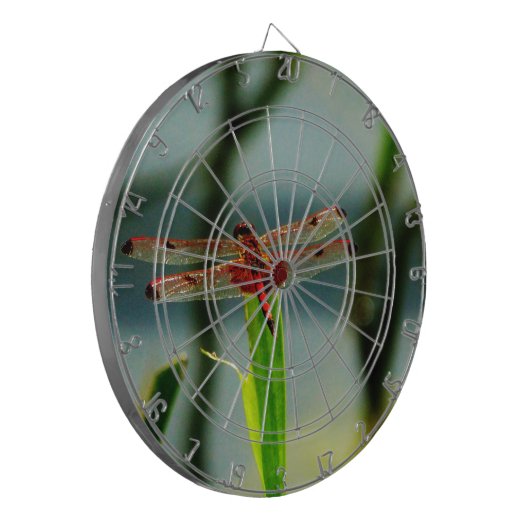 Gepunktetes Rotes und Schwarzes Dragonfly Dartscheibe (Vorderseite Links)