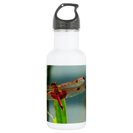 Gepunktetes Rotes und Schwarzes Dragonfly Edelstahlflasche (Vorderseite)