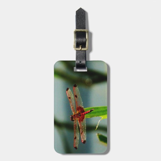 Gepunktetes Rotes und Schwarzes Dragonfly Gepäckanhänger (Vorderseite vertikal)