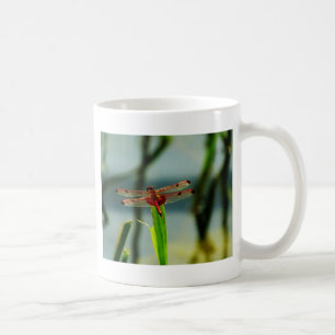 Gepunktetes Rotes und Schwarzes Dragonfly Kaffeetasse