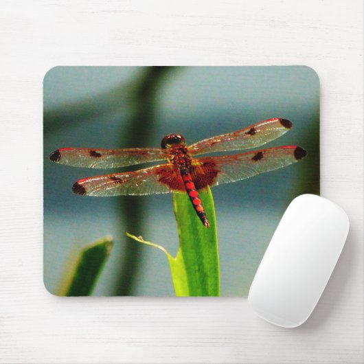 Gepunktetes Rotes und Schwarzes Dragonfly Mousepad (Mit Mouse)