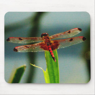 Gepunktetes Rotes und Schwarzes Dragonfly Mousepad