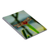 Gepunktetes Rotes und Schwarzes Dragonfly Notizblock (Rechte Seite)