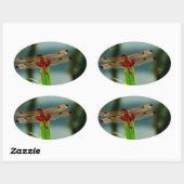 Gepunktetes Rotes und Schwarzes Dragonfly Ovaler Aufkleber (Blatt)
