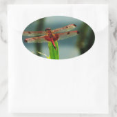 Gepunktetes Rotes und Schwarzes Dragonfly Ovaler Aufkleber (Tasche)